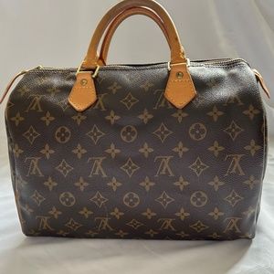 Louis Vuitton Speedy 30 Cloth Handbag